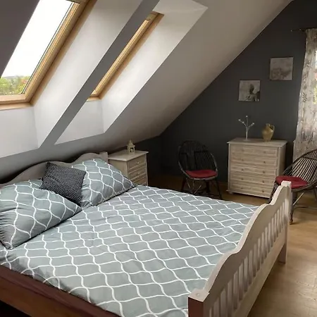 Apartment 4 Bedroom Family House With Access To A Hot Tub Goczalkowice-Zdroj